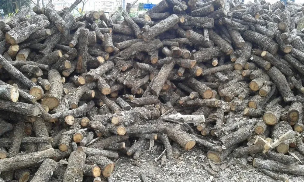 bois de chauffage 2